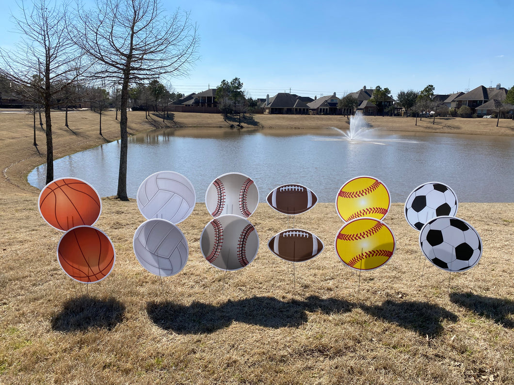 Sports Balls